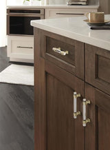 AMEROCK Glacio Glass Handle Cabinet Pull in Clear and Golden Champagne (+5 Sizes)