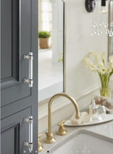 AMEROCK Glacio Glass Handle Cabinet Pull in Clear and Polished Nickel (+5 Sizes)