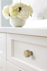 AMEROCK Kane Round Cabinet Knob in Golden Champagne (+2 Sizes)