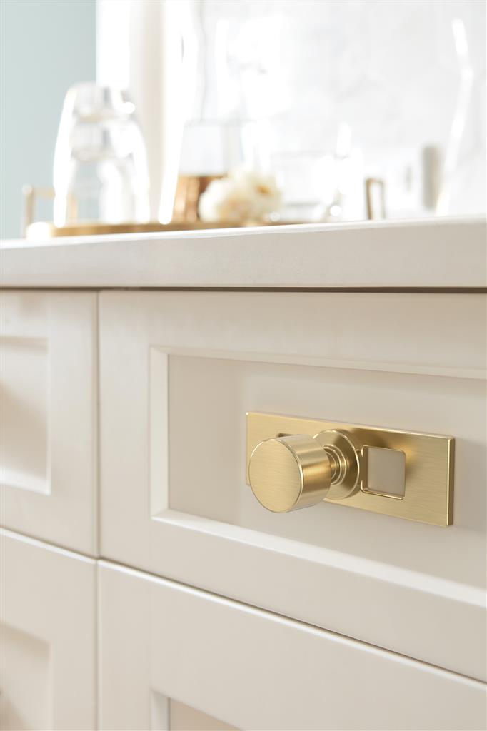 AMEROCK Medora 3-11/16" Rectangle Cabinet Knob Backplate in Golden Champagne