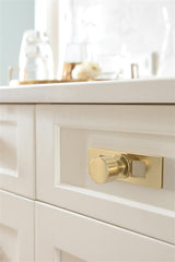 AMEROCK Medora 3-11/16" Rectangle Cabinet Knob Backplate in Golden Champagne