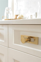 AMEROCK Medora 3-11/16" Rectangle Cabinet Knob Backplate in Champagne Bronze