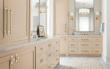 AMEROCK Medora Rectangle Cabinet Handle Backplate in Golden Champagne (+8 Sizes)