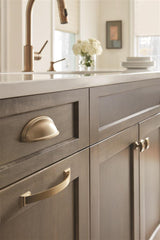 AMEROCK Candler Handle Cabinet Pull in Golden Champagne (+8 Sizes)