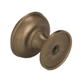 AMEROCK Revitalize 1-1/4" Diameter Cabinet Knob in Golden Champagne BP55342BBZ Backside