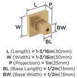 AMEROCK Monument 1-3/16" Length Square Cabinet Knob in Champagne Bronze