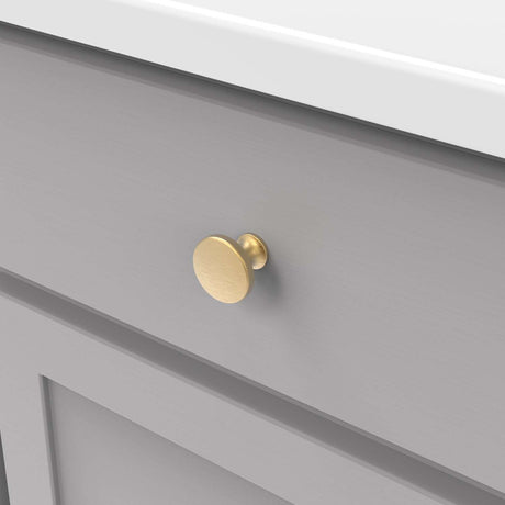 HICKORY Forge 1-3/8" Diameter Cabinet Knob in Brushed Golden Brass H076698-BGB