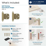 AMEROCK Extended Tab Self Closing Face Mount Variable Overlay Cabinet Hinge (pair) in Golden Champagne BPR7629BBZ What's Included