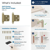 AMEROCK Self Closing Face Mount Variable Overlay Cabinet Hinge (pair) in Golden Champagne BPR3429BBZ What's Included