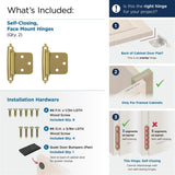 AMEROCK Self Closing Face Mount Variable Overlay Cabinet Hinge (pair) in Polished Brass BPR34293 What's Included
