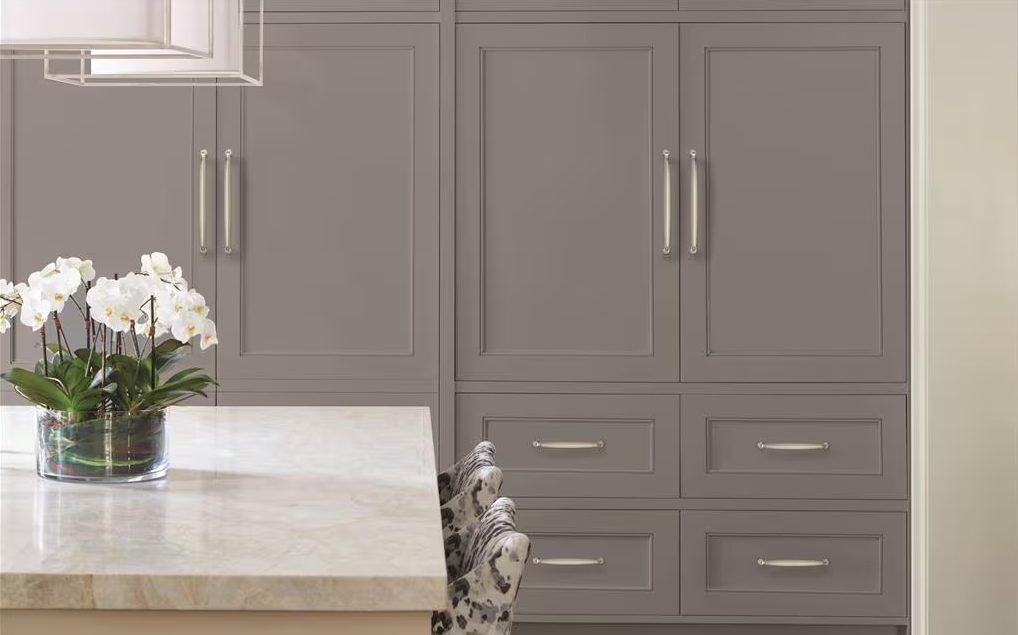 AMEROCK Kane Appliance Pulls in Satin Nickel (+2 Sizes)