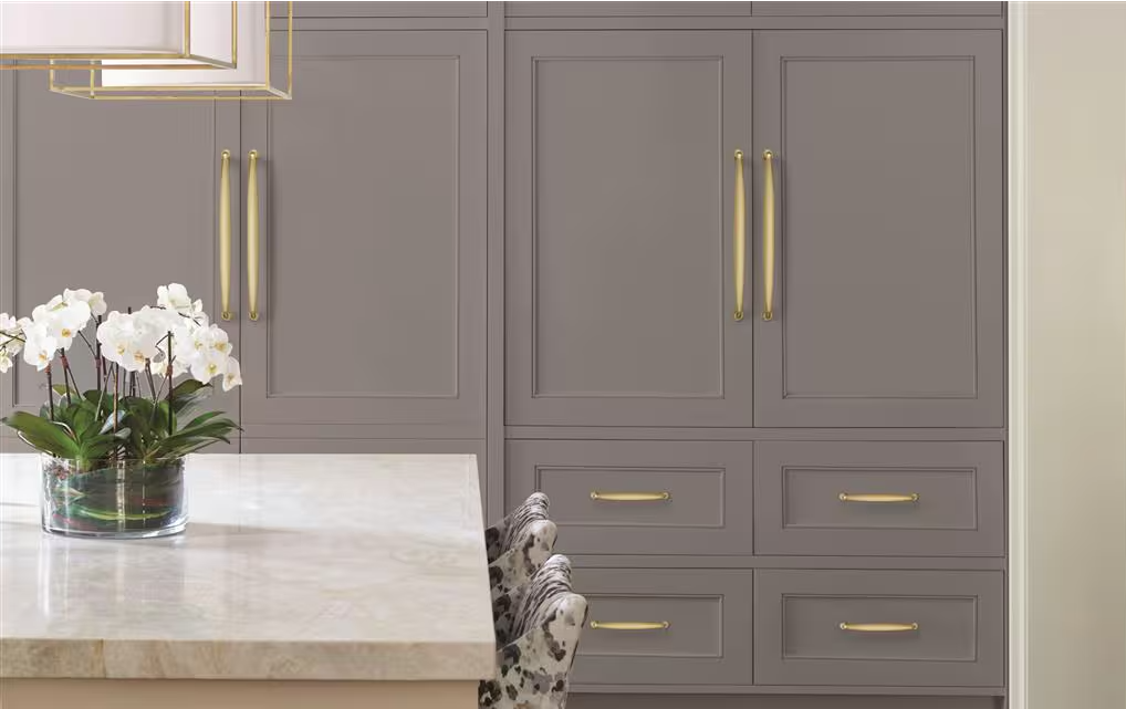AMEROCK Kane Appliance Pulls in Golden Champagne (+2 Sizes)