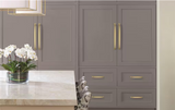 AMEROCK Kane Appliance Pulls in Golden Champagne (+2 Sizes)