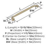 AMEROCK Kane Appliance Pulls in Golden Champagne (+2 Sizes)