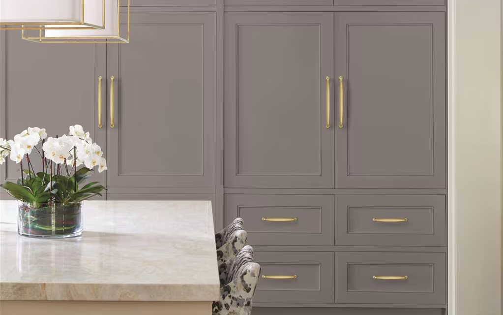 AMEROCK Kane Appliance Pulls in Golden Champagne (+2 Sizes)