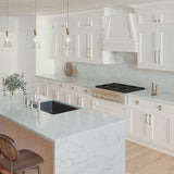 BELWITH-KEELER Vale in Polished Nickel Kitchen