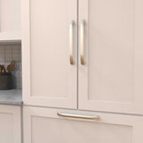 HICKORY American Diner Appliance Display Satin Nickel
