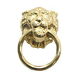 AMEROCK Allison 2-1/8" Lion Head Ring Pull in Polished Brass BP888-3