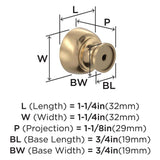 AMEROCK Chalice 1-1/4" Diameter Cabinet Knob in Champagne Bronze BP37022CZ Specs