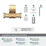Amerock Davenport Double Robe Hook in Champagne Bronze BH36050CZ Hardware Included