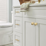 Amerock Davenport in Champagne Bronze on White Vanity