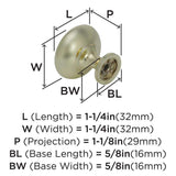 AMEROCK Edona 1-1/4" Diameter Mushroom Cabinet Knob in Polished Brass BP530053 Specs
