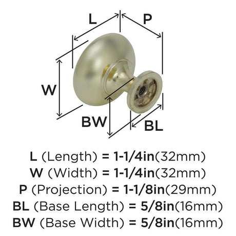 AMEROCK Edona 1-1/4" Diameter Mushroom Cabinet Knob in Polished Brass BP530053 Specs