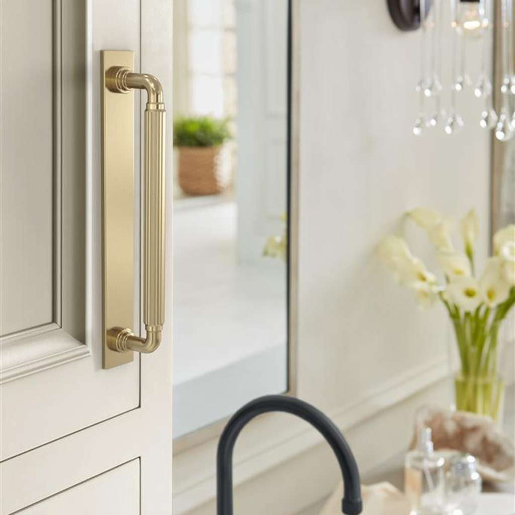 AMEROCK Ladera Rectangle Cabinet Handle Backplate in Golden Champagne 160mm BP37764BBZ Mounted