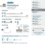 AMEROCK Mulholland 6-13/16" Long Hanging Towel Ring in Polished Chrome BH3602226 Collection