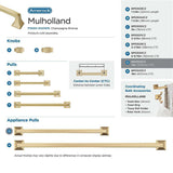 AMEROCK Mulholland Appliance Pulls in Champagne Bronze 12" BP53532CZ Collection