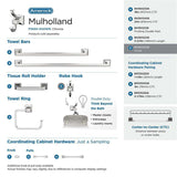 AMEROCK Mulholland Double Robe Hook in Polished Chrome BH3602026 Collection