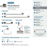 AMEROCK Mulholland Pivoting Toilet Paper Holder in Brushed Nickel BH36021G10 Collection