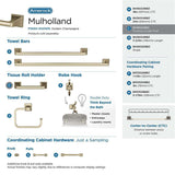 AMEROCK Mulholland Pivoting Toilet Paper Holder in Golden Champagne BH36021BBZ Collection
