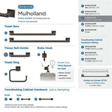 AMEROCK Mulholland Pivoting Toilet Paper Holder in Oil Rubbed Bronze BH36021ORB Collection