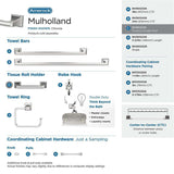 AMEROCK Mulholland Pivoting Toilet Paper Holder in Polished Chrome BH3602126 Collection