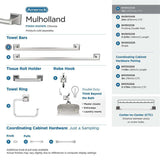 AMEROCK Mulholland Towel Bar in Polished Chrome 18" BH3602326 Collection